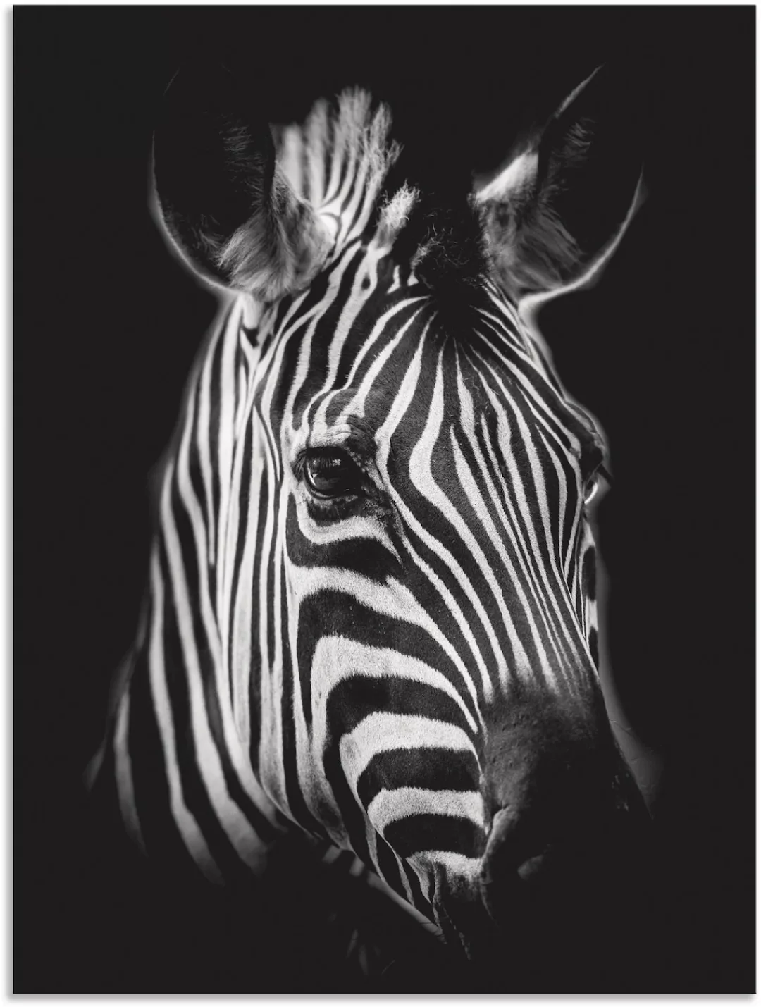 Artland Wandbild "Zebra", Zebra Bilder, (1 St.) günstig online kaufen