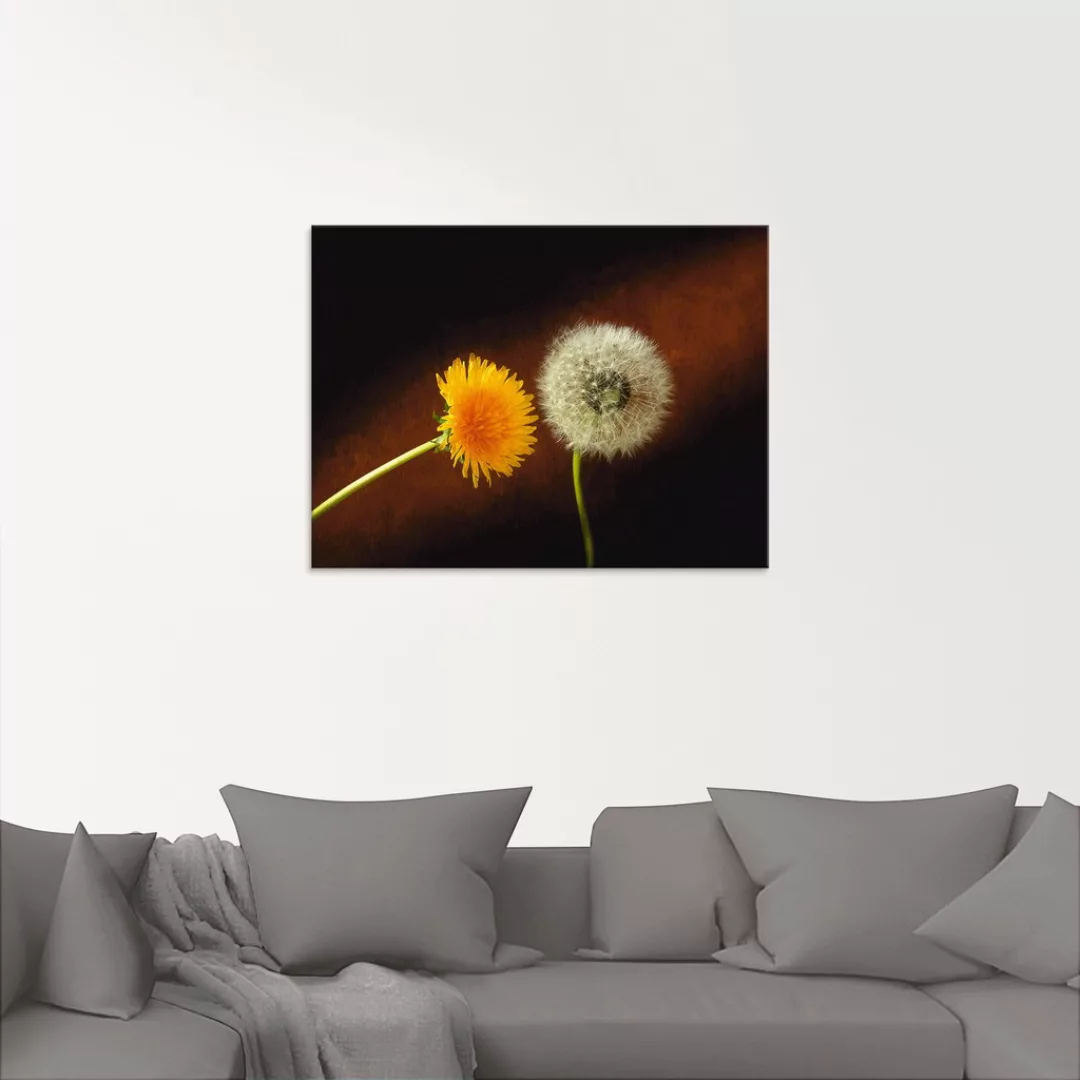 Artland Glasbild "Pusteblume Löwenzahn", Blumen, (1 St.), in verschiedenen günstig online kaufen