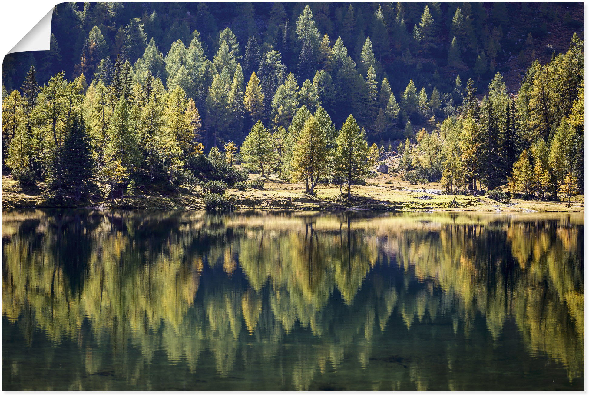 Artland Poster "Herbstwald am Duisitzkarsee", Waldbilder, (1 St.), als Alub günstig online kaufen