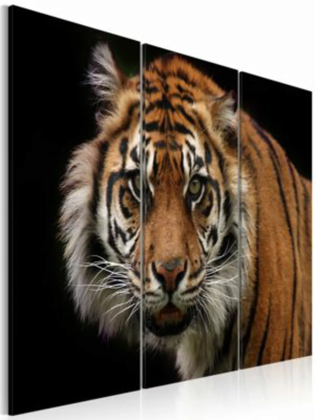 artgeist Wandbild Wilder Tiger mehrfarbig Gr. 60 x 40 günstig online kaufen