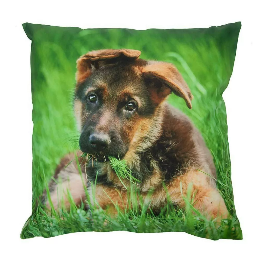 Outdoor Kissen Hund Welpe Schäferhund Gartenkissen Wasserabweisend 40 x 40 günstig online kaufen