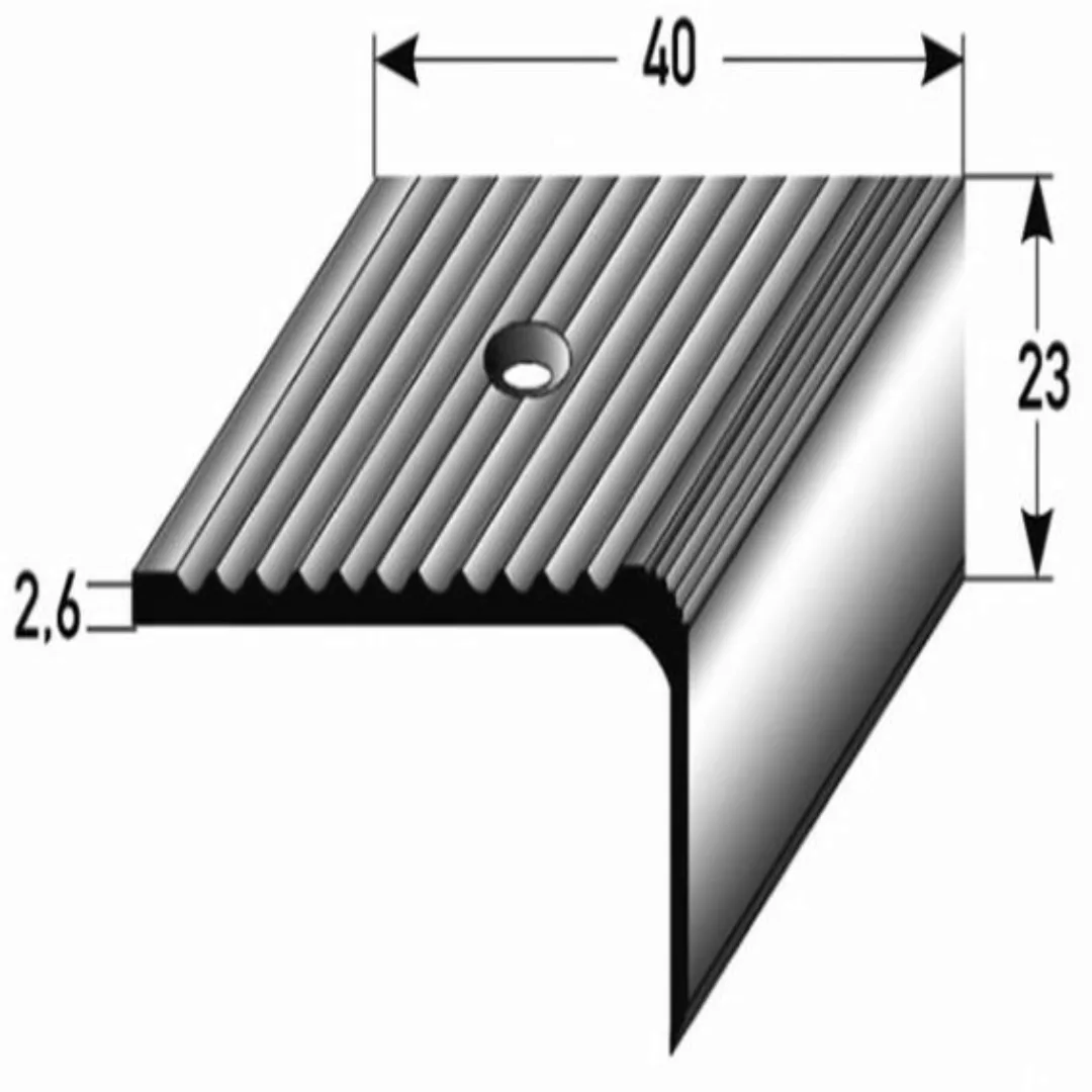 Treppenkante "Amelia" / Treppenkantenprofil / Winkelprofil (Größe 23 mm x 4 günstig online kaufen