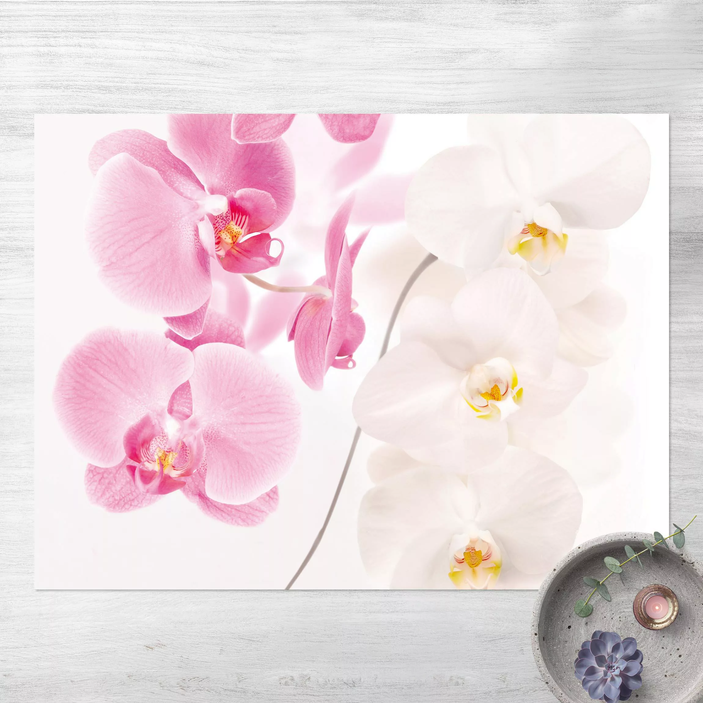Vinyl-Teppich Delicate Orchids günstig online kaufen