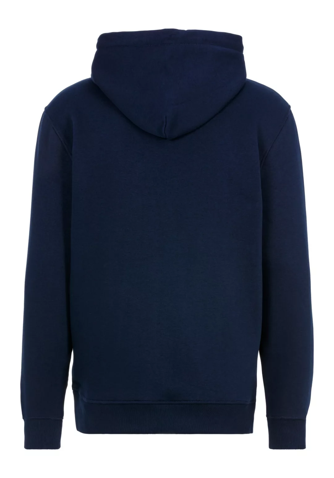 Tommy Jeans Hoodie "TJM REG LINEAR LOGO HOODIE EXT", mit Logo-Stickerei günstig online kaufen