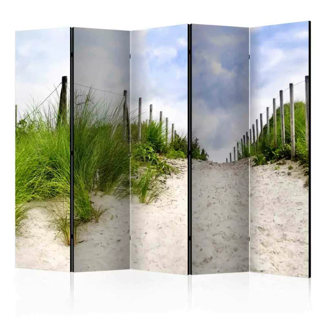 Spanischer Raumteiler mit Dünenweg Motiv 225 cm breit günstig online kaufen
