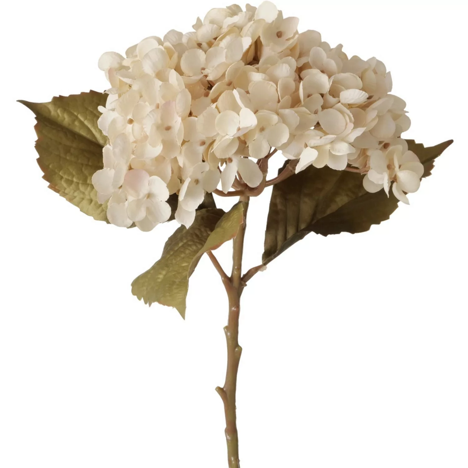 Boltze Stielblume Hortensie 52 cm x 25 cm x 9 cm Natur günstig online kaufen