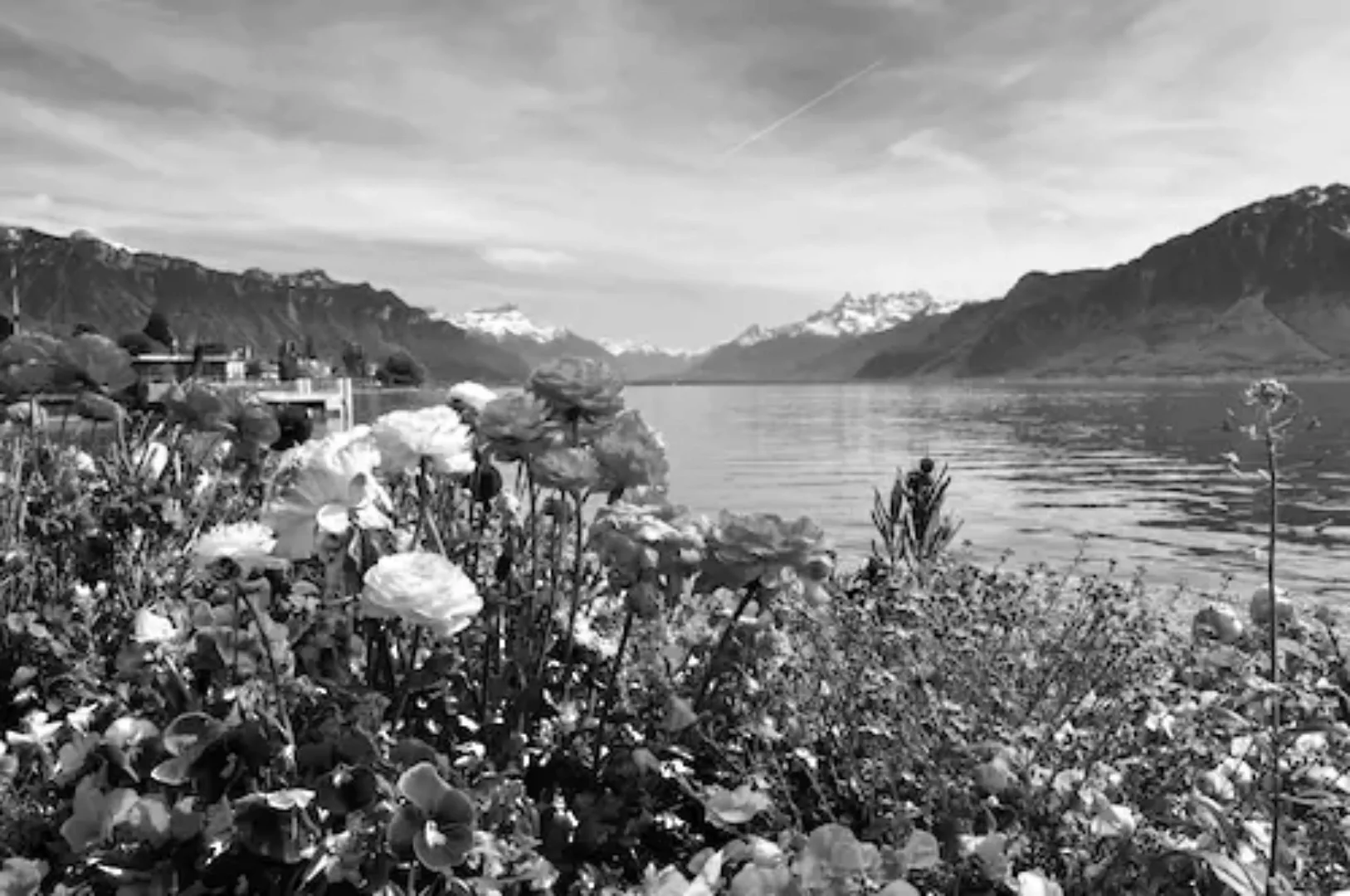 Papermoon Fototapete »Landschaft Schwarz & Weiß« günstig online kaufen