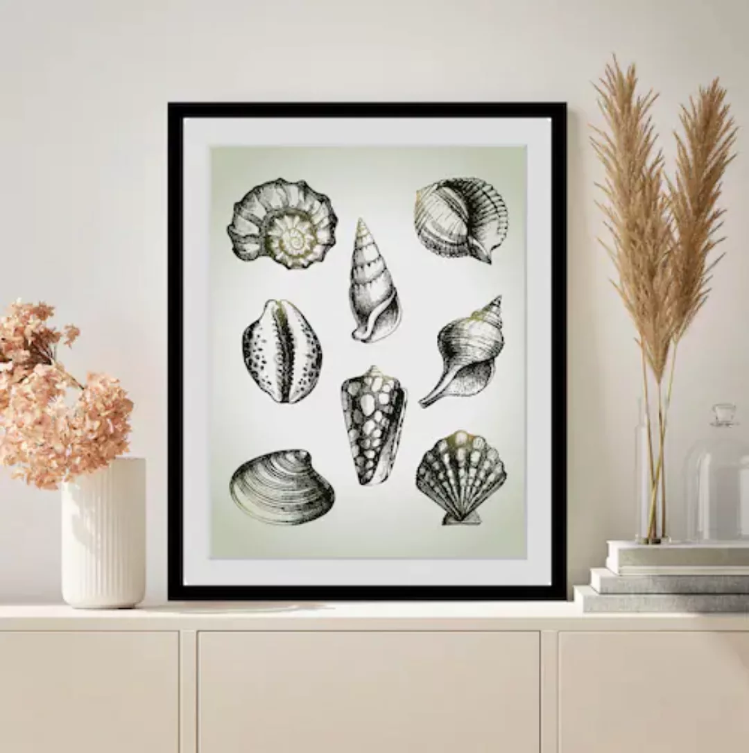 queence Bild »Willy«, Meer-Wassertiere-Kunst-Schwarz-Weiß, (1 St.), HD Prem günstig online kaufen
