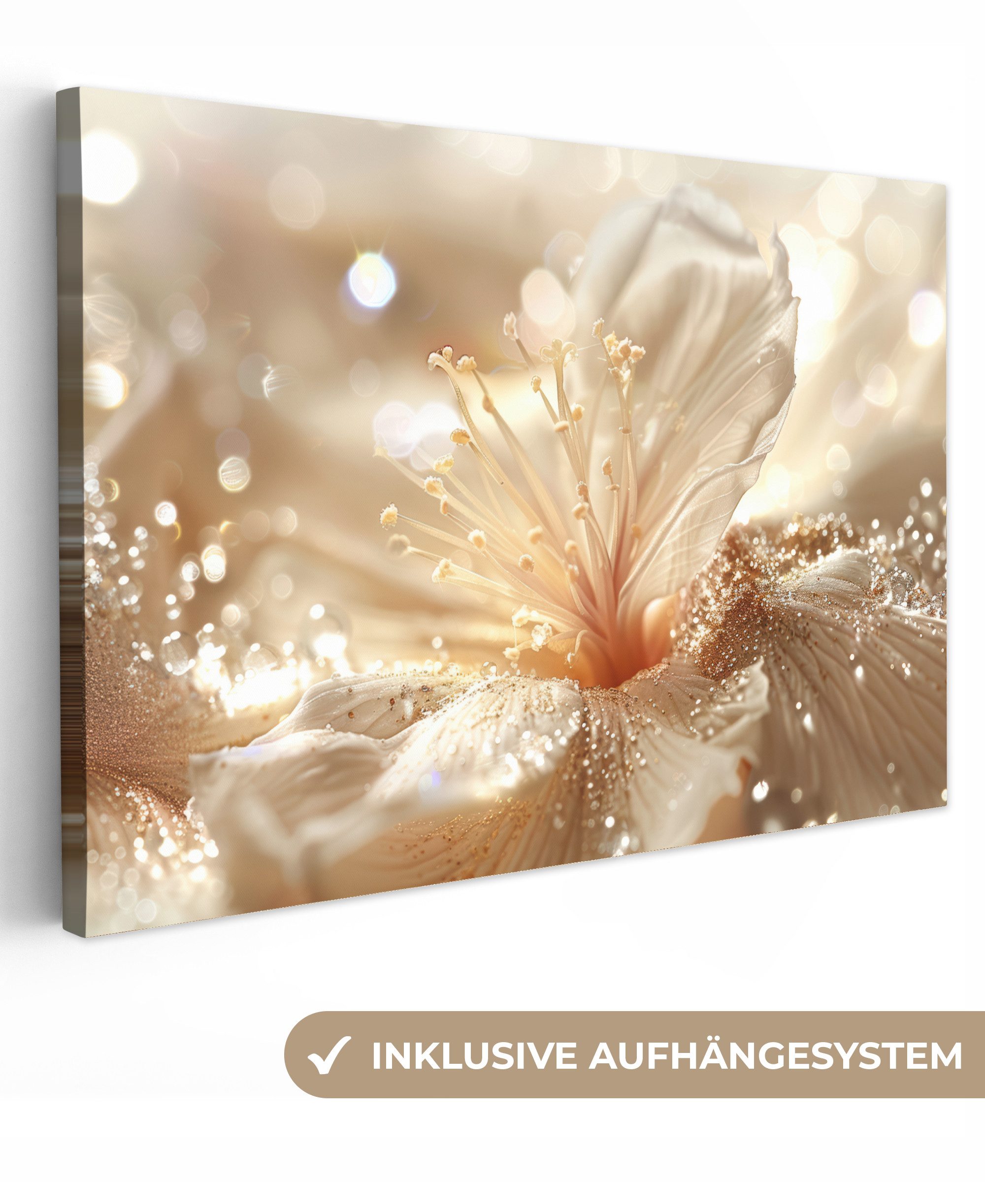OneMillionCanvasses® Leinwandbild Blume - Weiß - günstig online kaufen