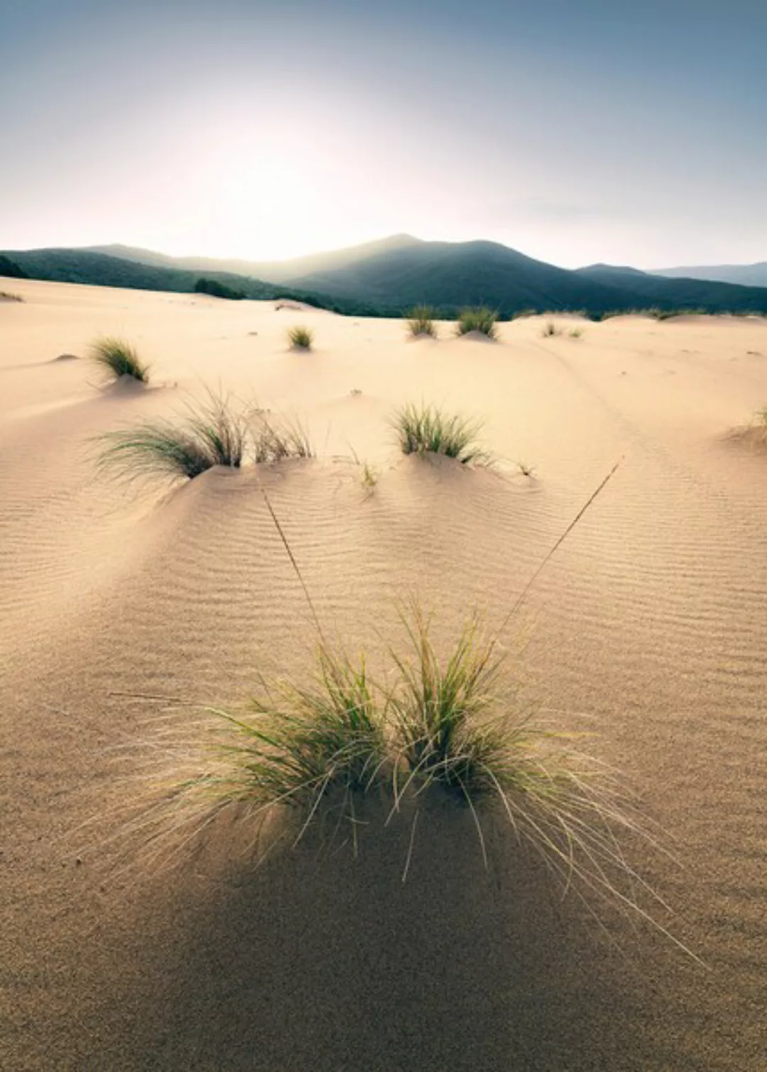 Komar Fototapete Vivid Dunes B/L: ca. 200x280 cm günstig online kaufen