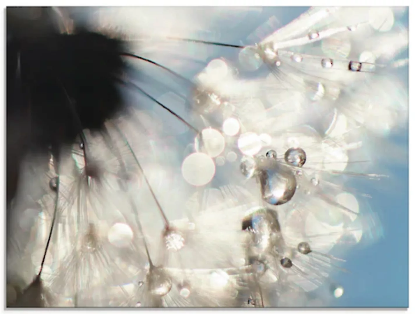 Artland Glasbild "Pusteblume Engelflügel", Blumen, (1 St.) günstig online kaufen