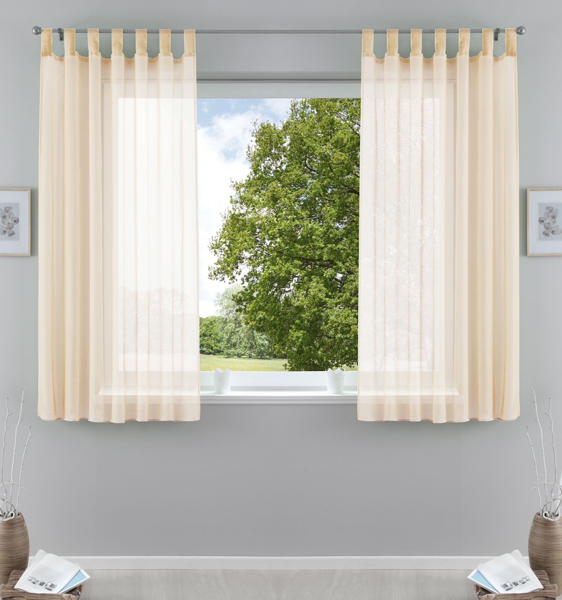 Gardinenbox Gardine, Schlaufen (2 St), transparent, günstig online kaufen