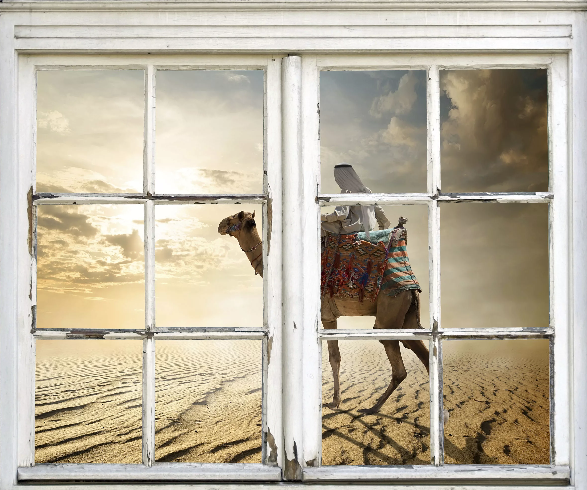 queence Wandsticker "Kamel in Wüste" günstig online kaufen