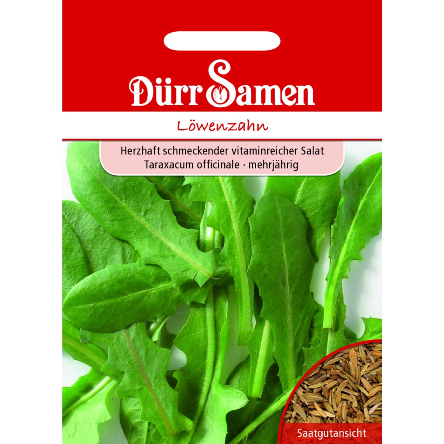 Dürr Samen Löwenzahn Saatgut günstig online kaufen