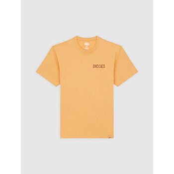 Dickies  T-Shirts & Poloshirts COMPANION TEE - DK0A4Z98K411-OAK BUFF günstig online kaufen