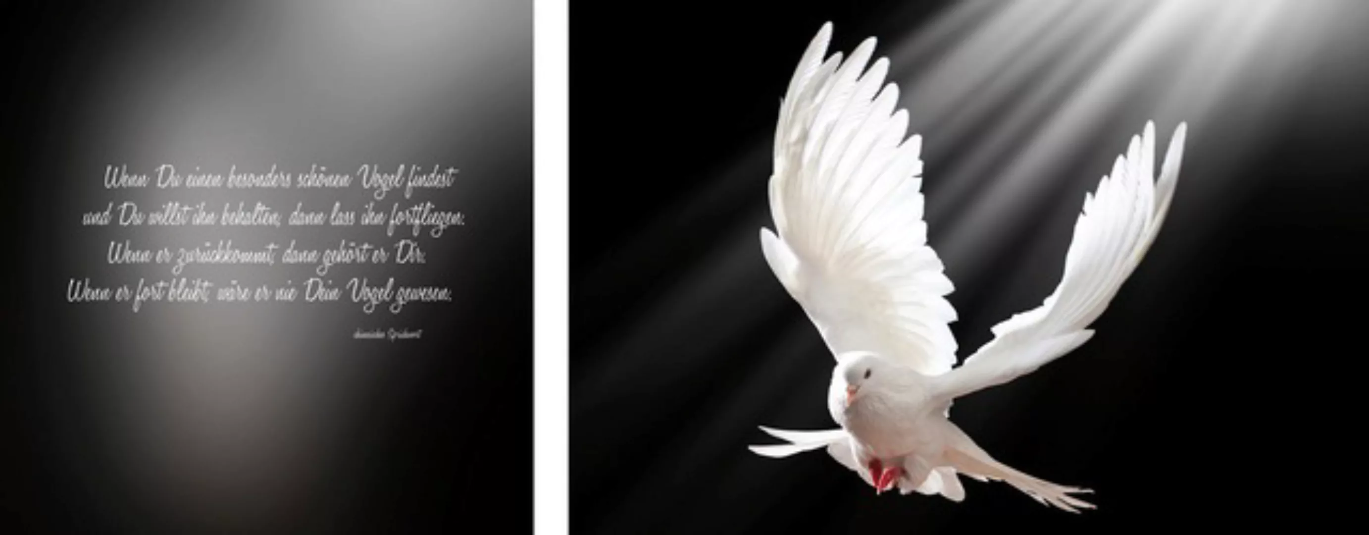 queence Leinwandbild »Friedenstaube«, Vogelbilder-Vögel-Kunst-Modern-Spa-Sp günstig online kaufen