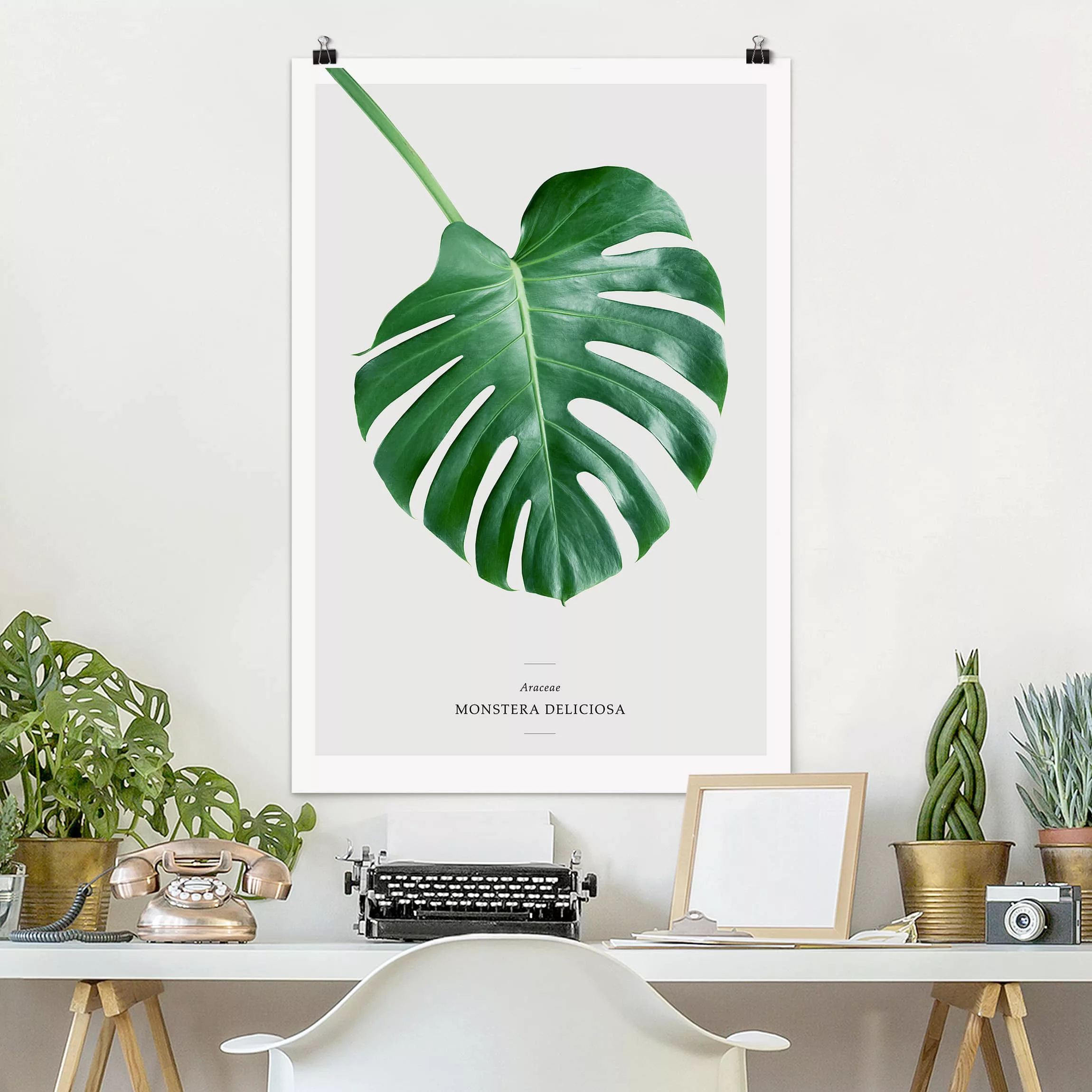 Poster Blumen - Hochformat Tropisches Blatt Monstera günstig online kaufen