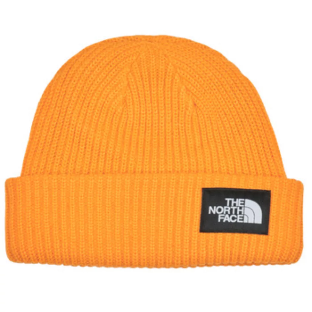 The North Face  Mütze SALTY LINED BEANIE günstig online kaufen