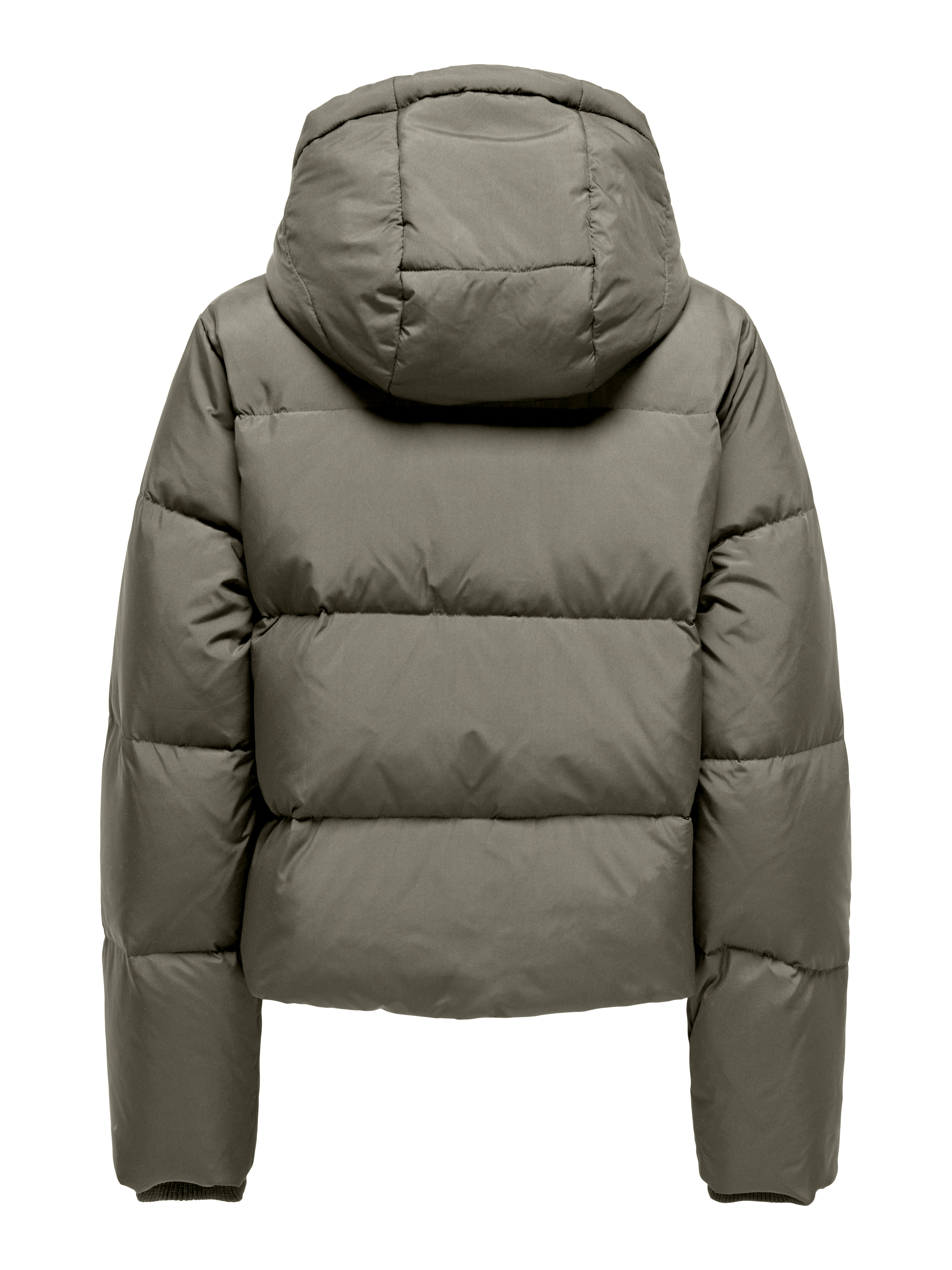 ONLY Steppjacke ONLALICE SHORT DOWN JACKET NOOS OTW günstig online kaufen