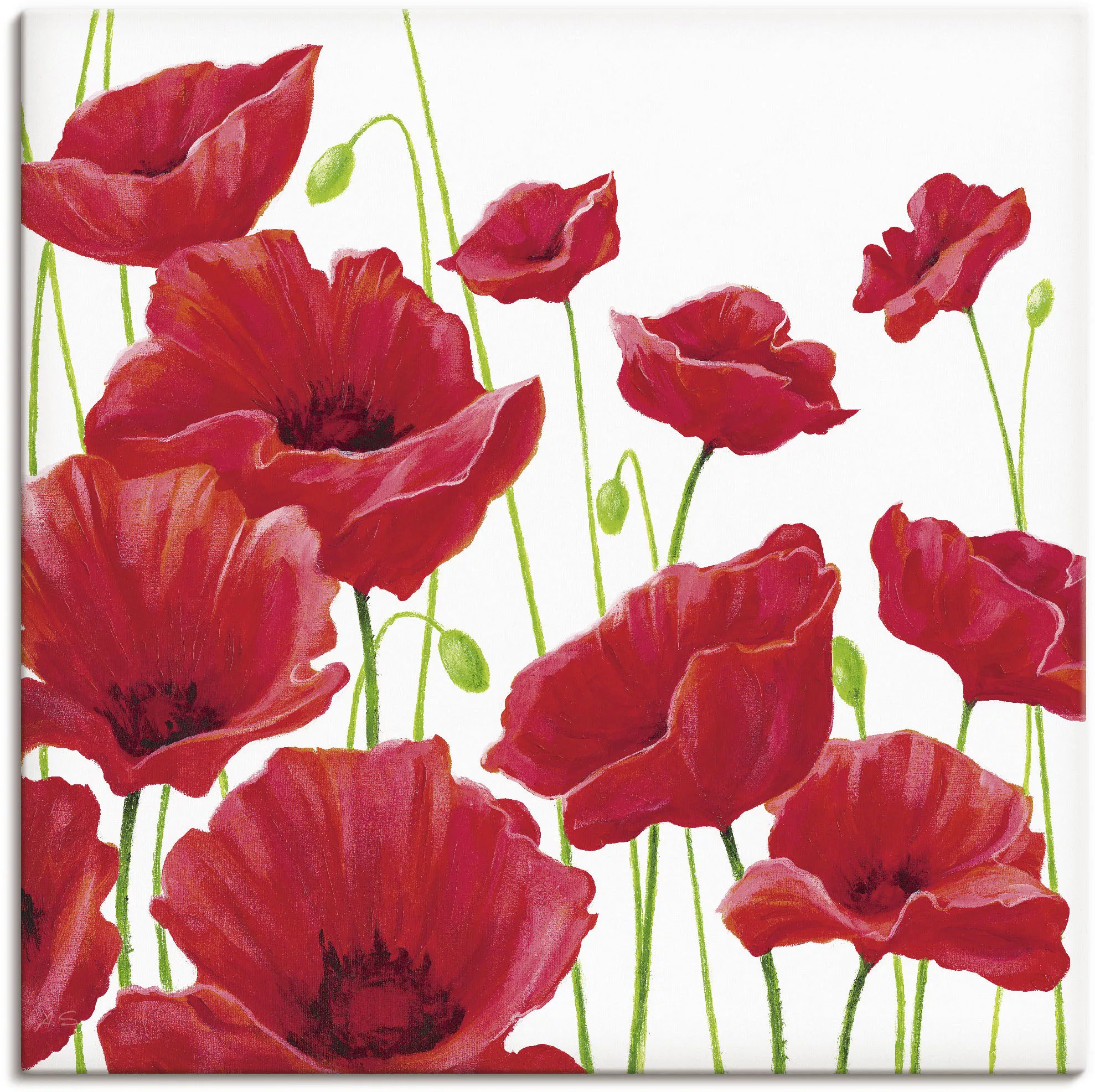 Artland Wandbild »Rote Mohnblumen I«, Blumen, (1 St.) günstig online kaufen
