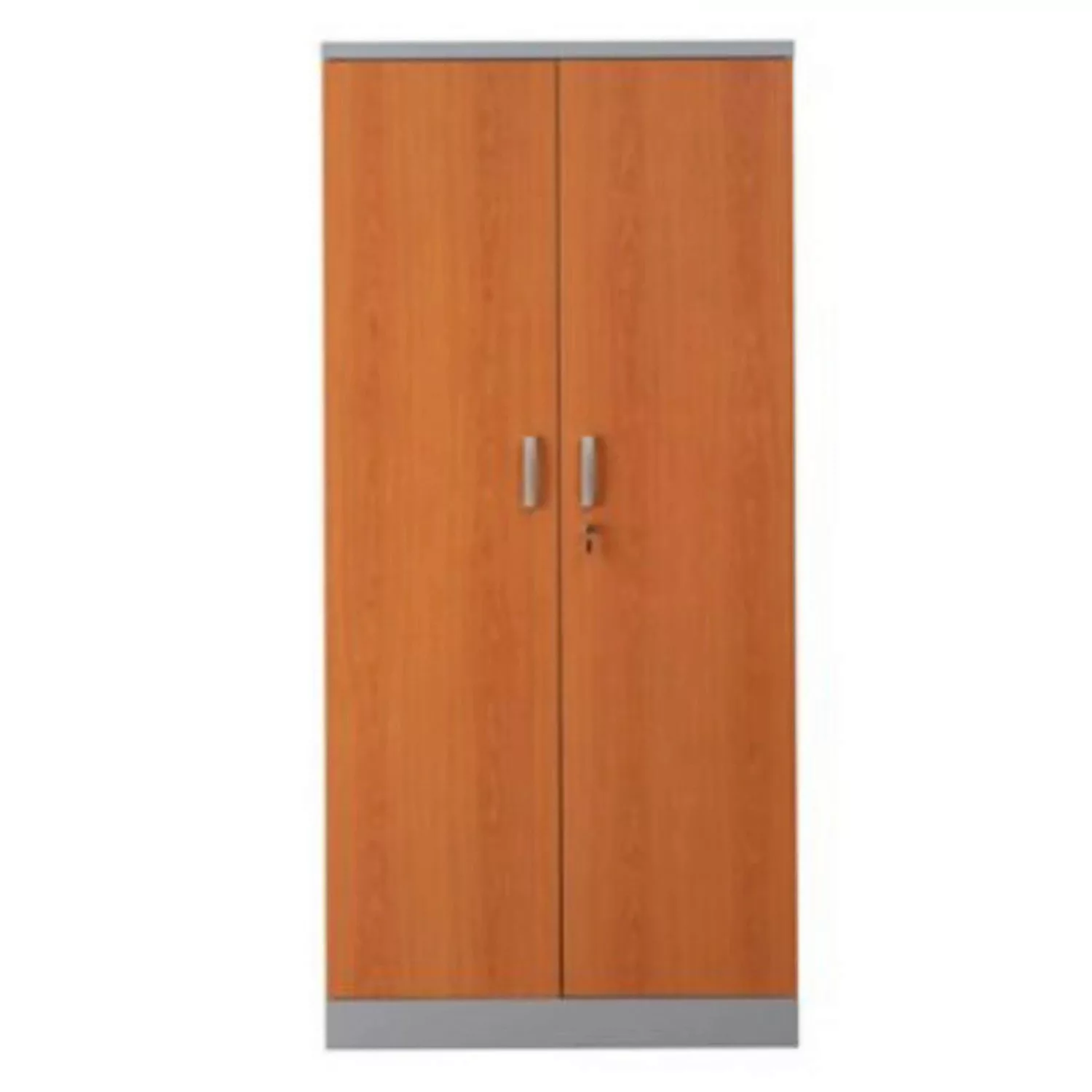 PROREGAL Aktenschrank Beetle 4 Fachböden HxBxT 195 x 92 x 42 cm Silber & Er günstig online kaufen