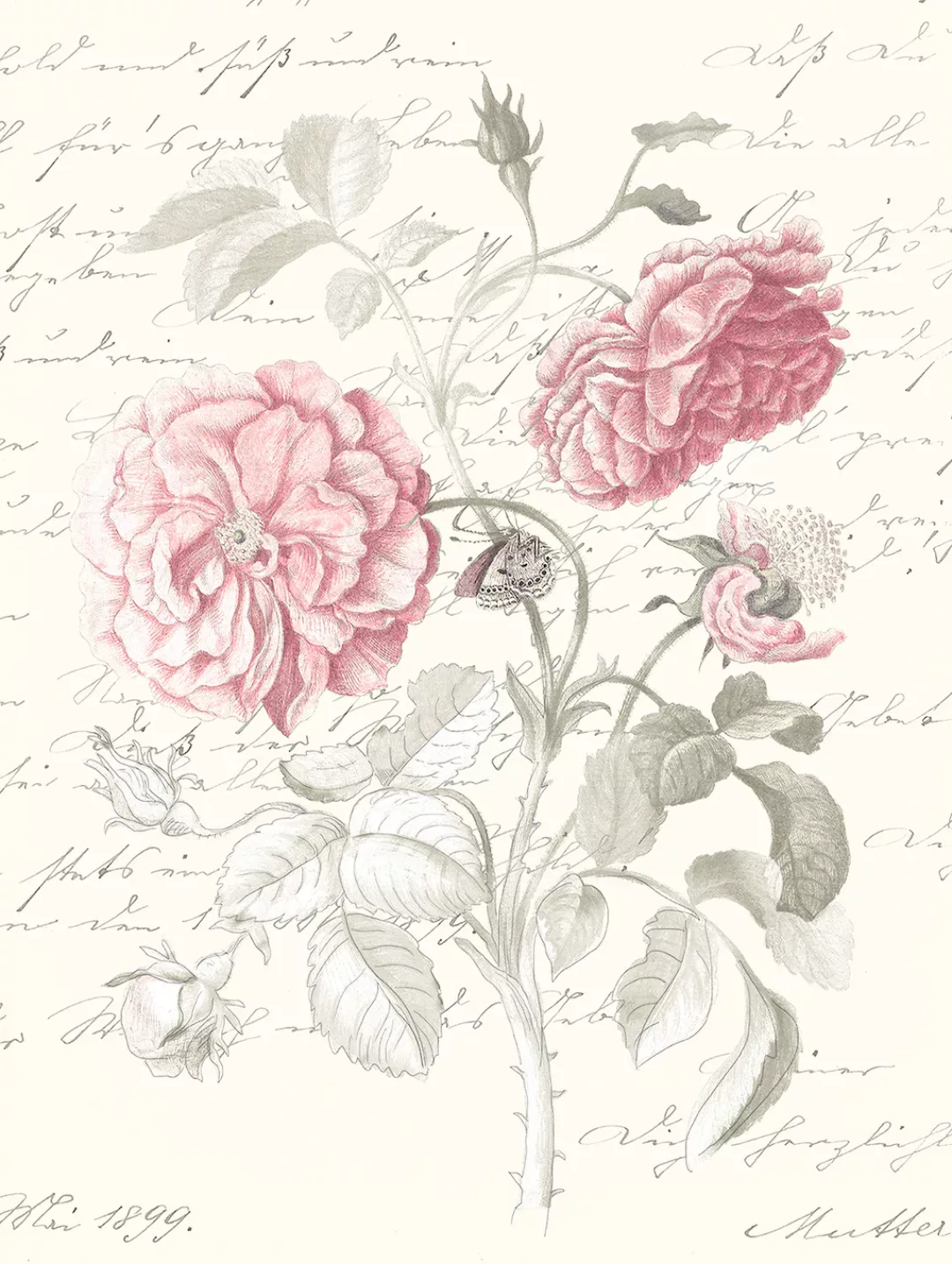 Komar Poster »Poème Rose«, (1 St.) günstig online kaufen