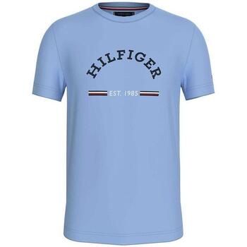 Tommy Hilfiger  T-Shirts & Poloshirts MW0MW35466-C1Z günstig online kaufen