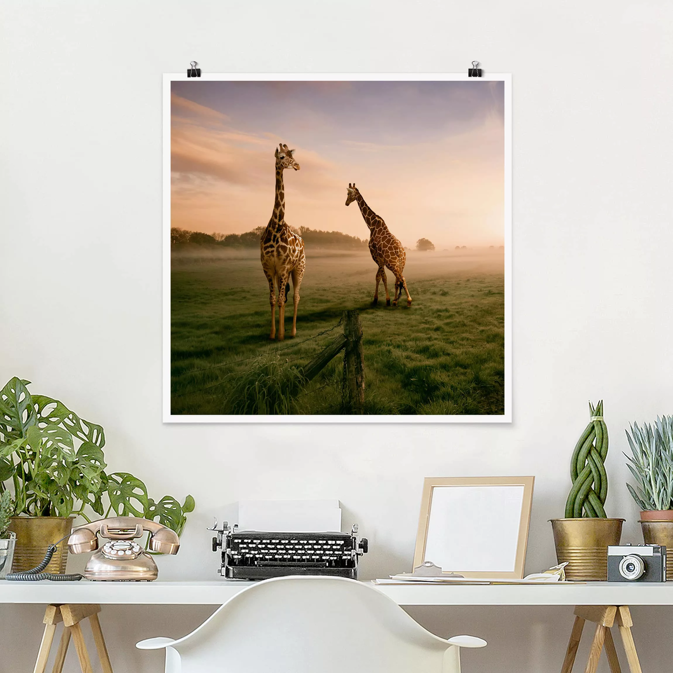 Poster Tiere - Quadrat Surreal Giraffes günstig online kaufen
