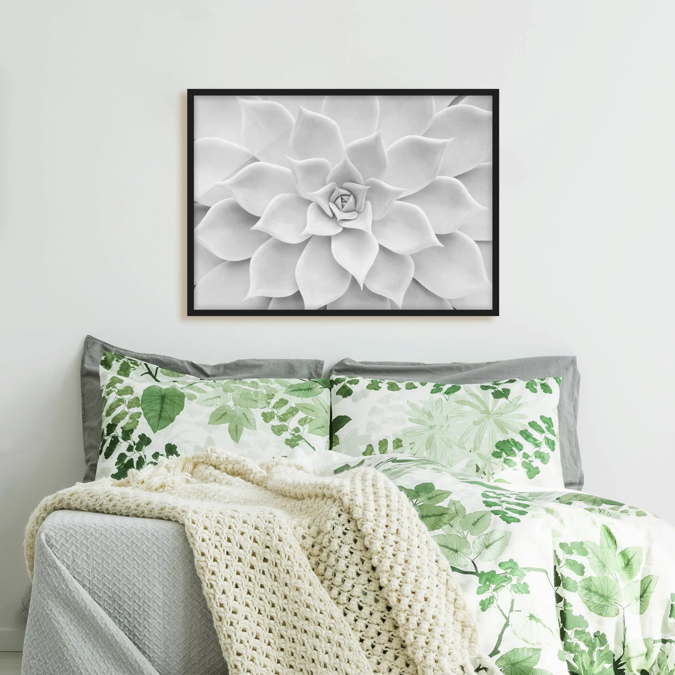 Bild mit Rahmen Blumen - Querformat Kaktus Sukkulente günstig online kaufen