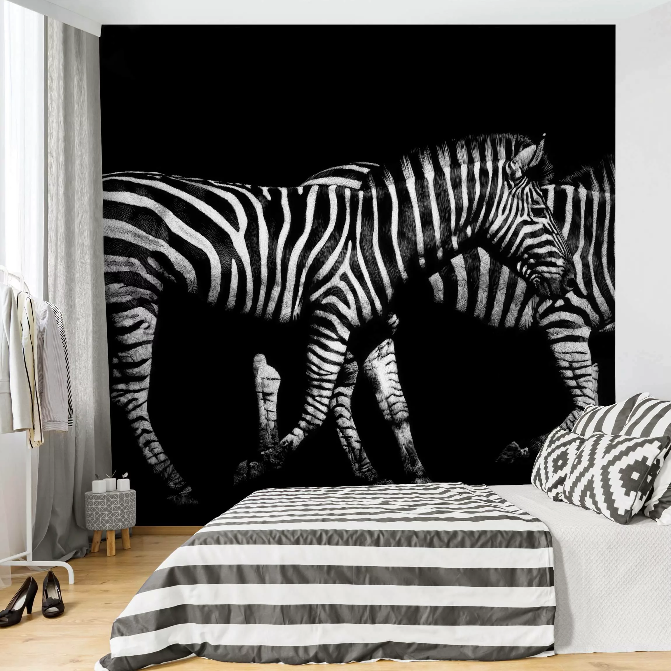 Fototapete Zebra vor Schwarz günstig online kaufen