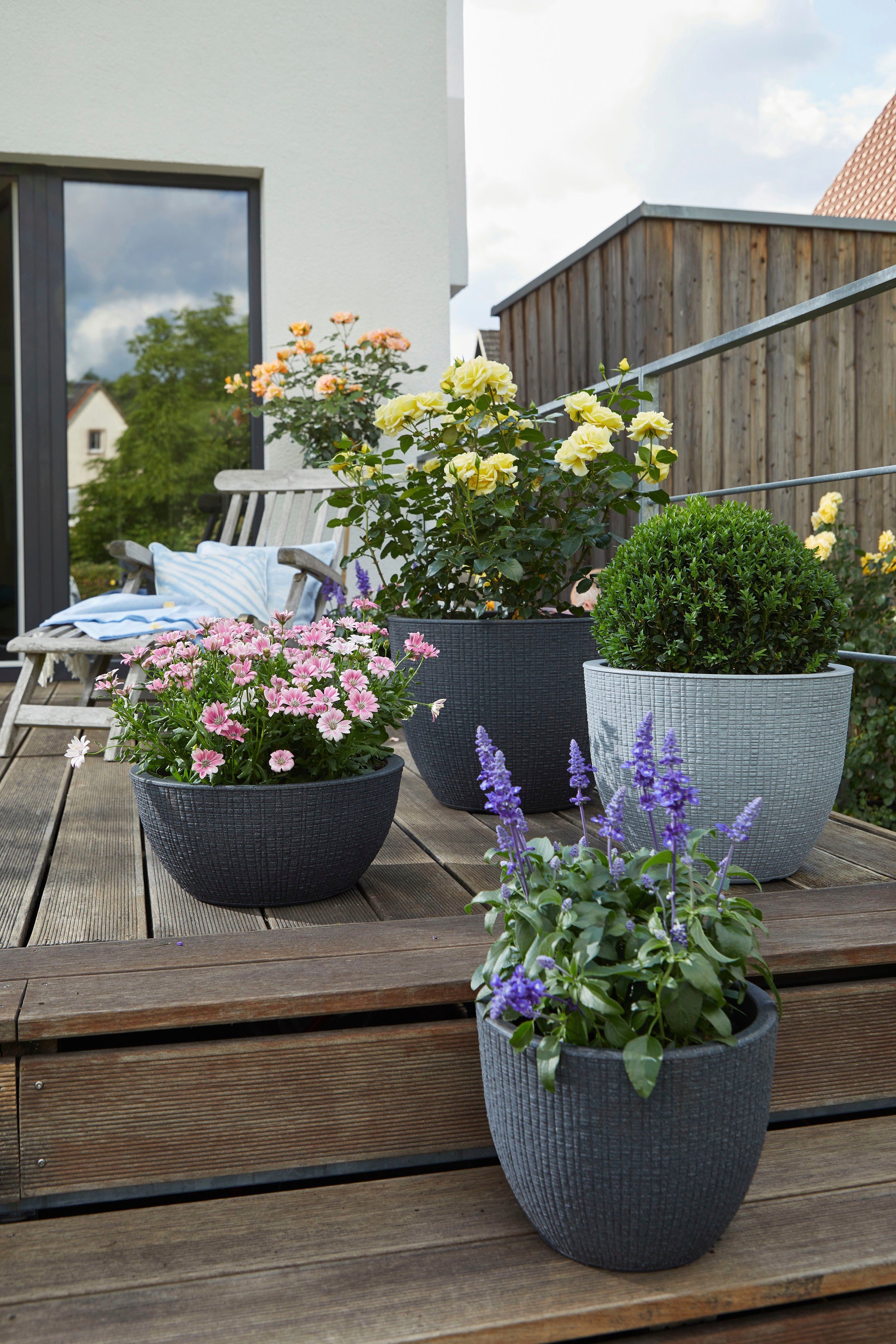 Scheurich Blumentopf 30/295 BARCEO günstig online kaufen