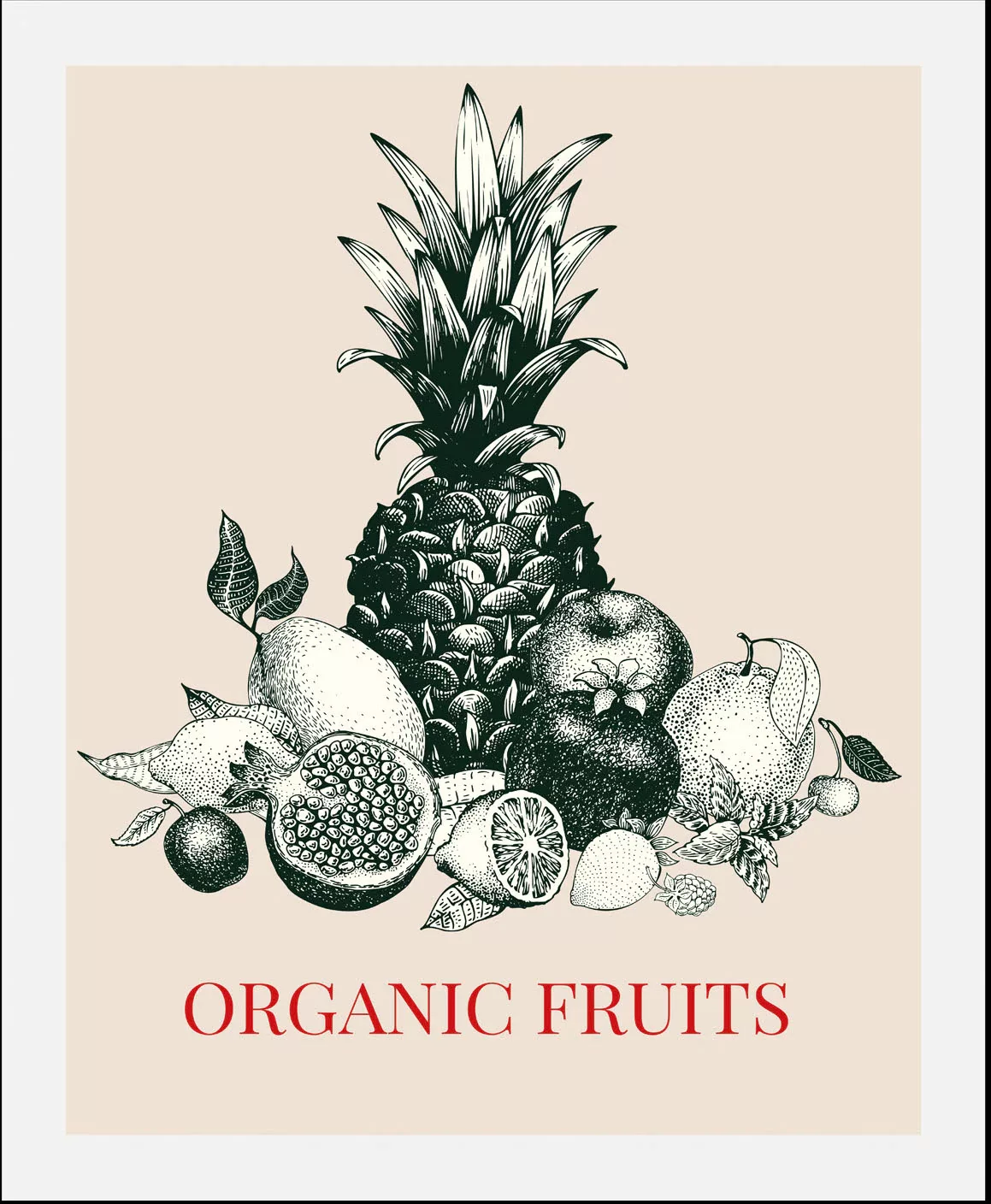 queence Bild "Organic Fruits", (1 St.), gerahmt günstig online kaufen