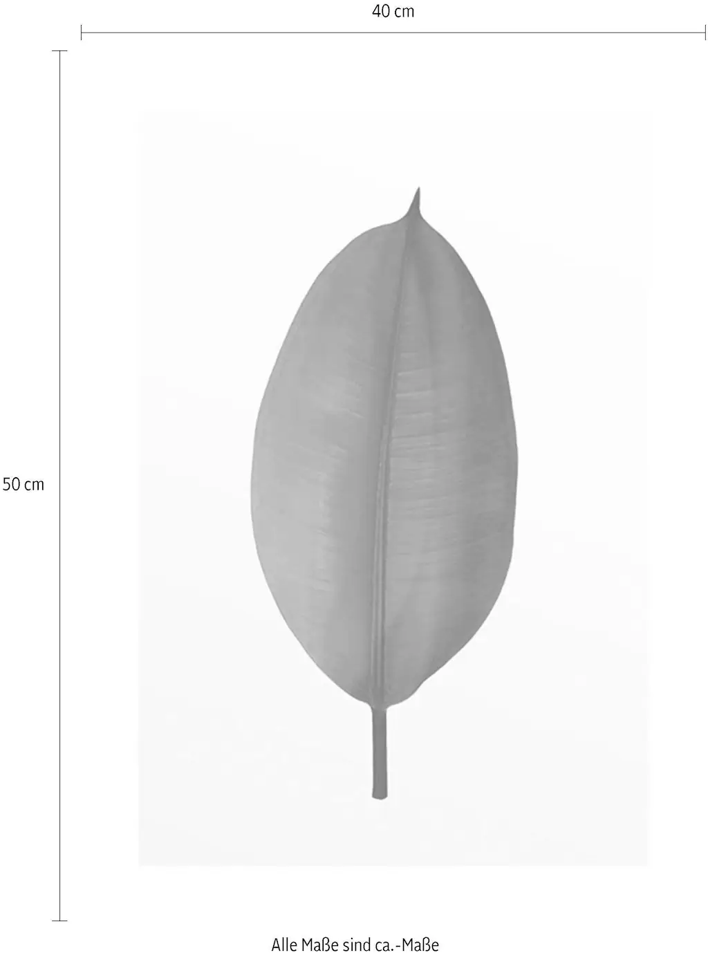 Komar Poster »Ficus Leaf«, Pflanzen-Blätter, (1 St.), Kinderzimmer, Schlafz günstig online kaufen