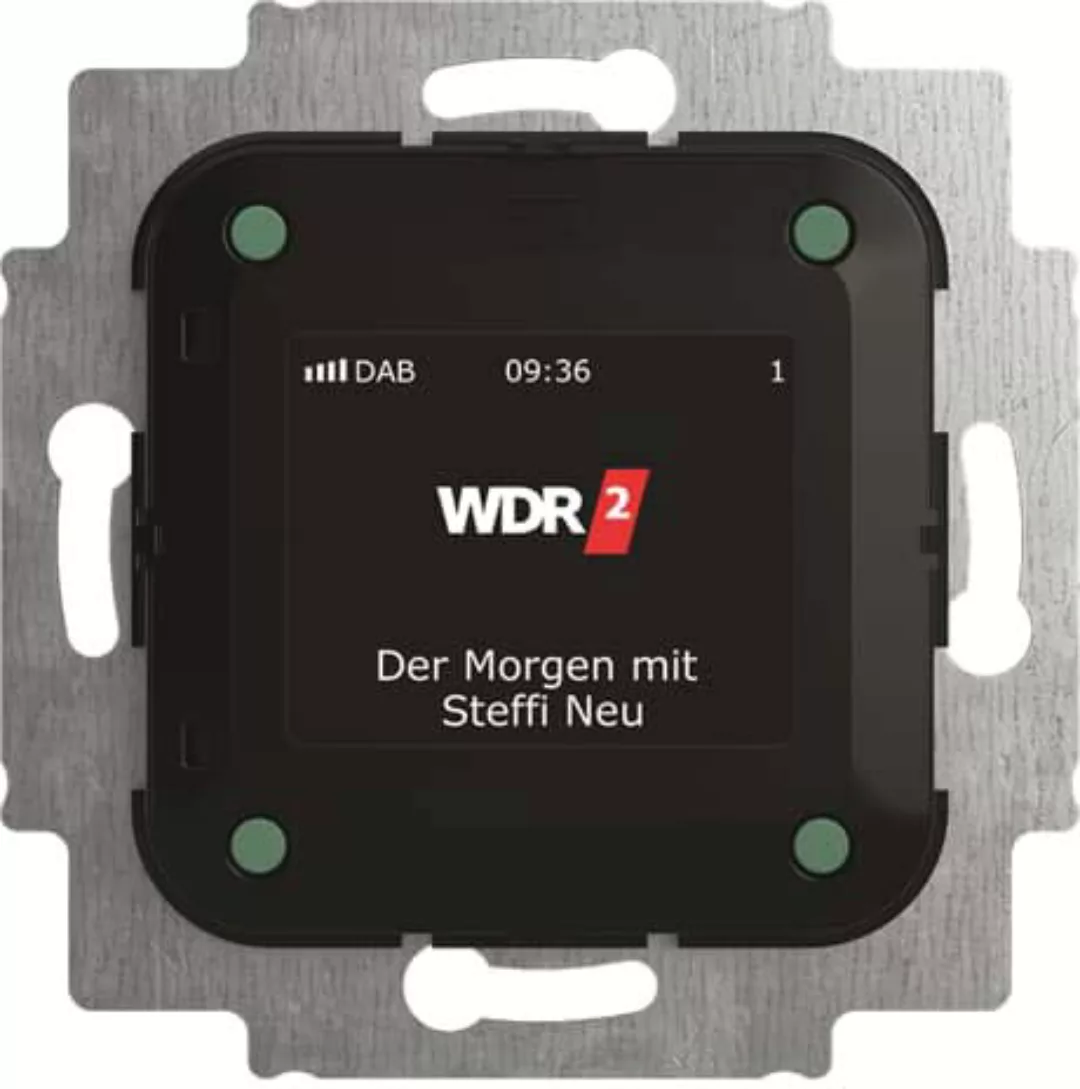 Busch-Jaeger Busch-Radio DAB+ 8215 U-101 - 2CKA008200A0275 günstig online kaufen