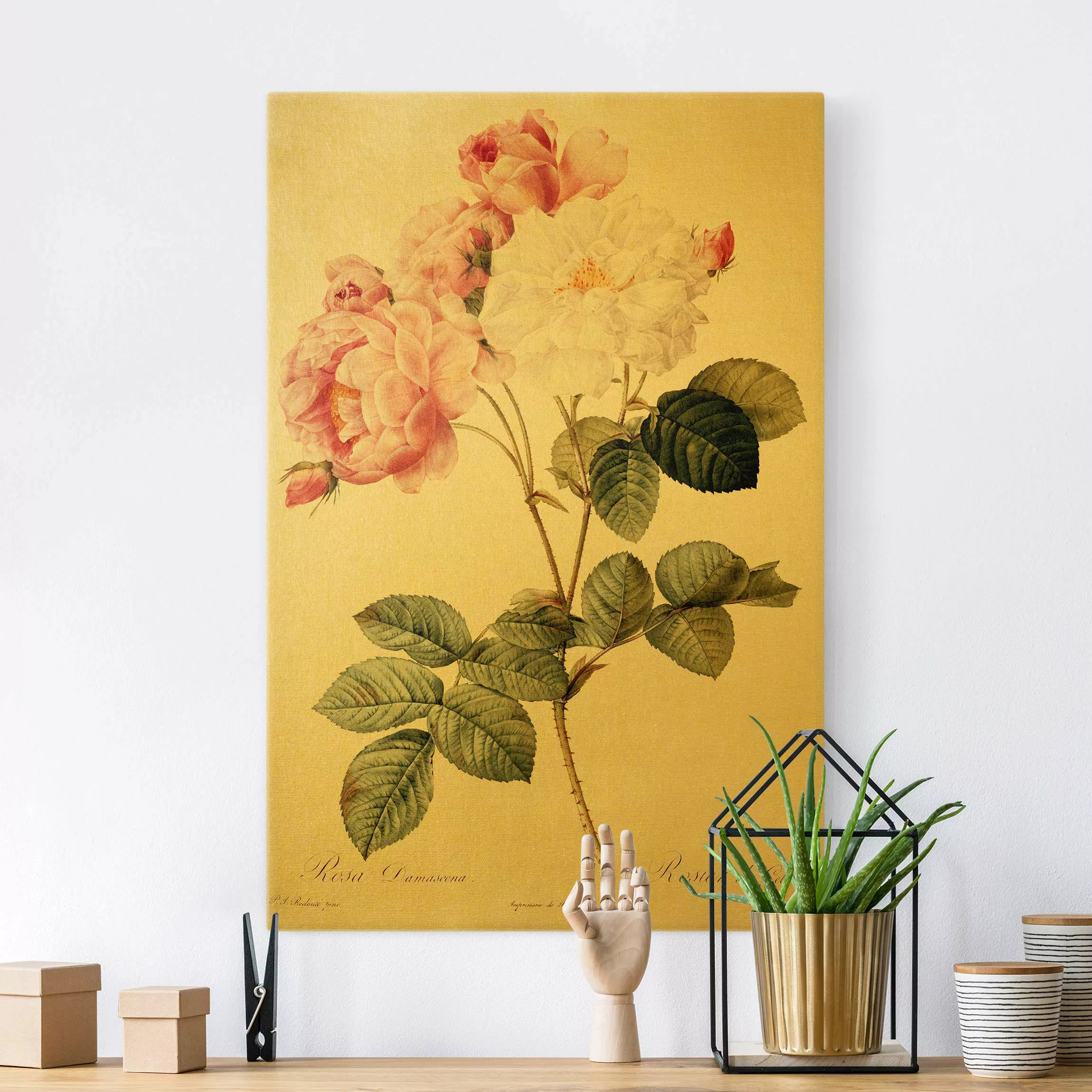 Leinwandbild Gold Pierre Joseph Redouté - Damaszener-Rose günstig online kaufen