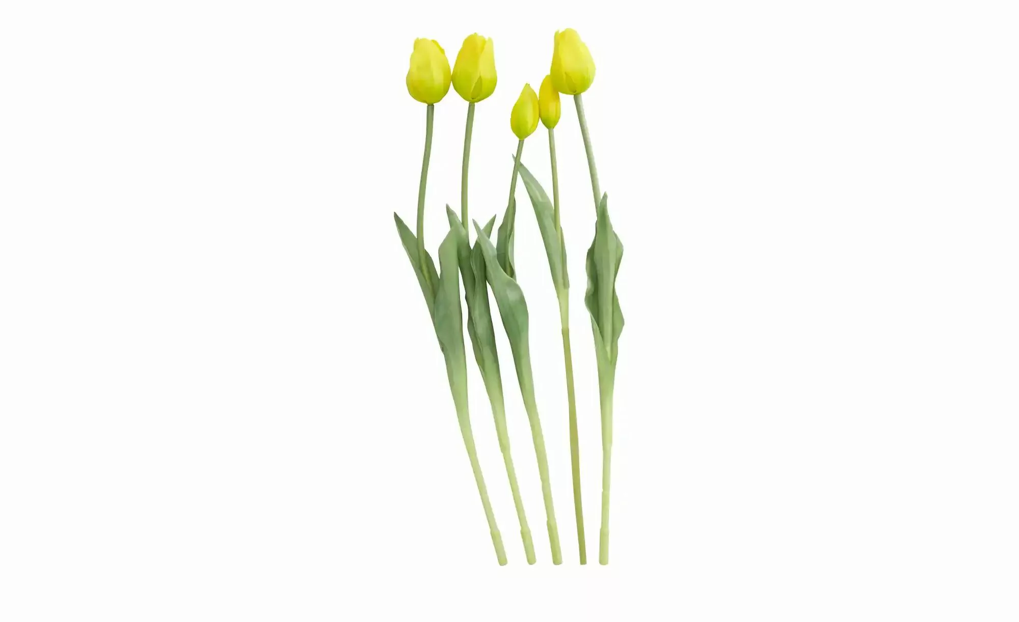 Französischer Tulpenbund   ¦ gelb ¦ Polypropylen,Kunststoff ¦ Maße (cm): H: günstig online kaufen