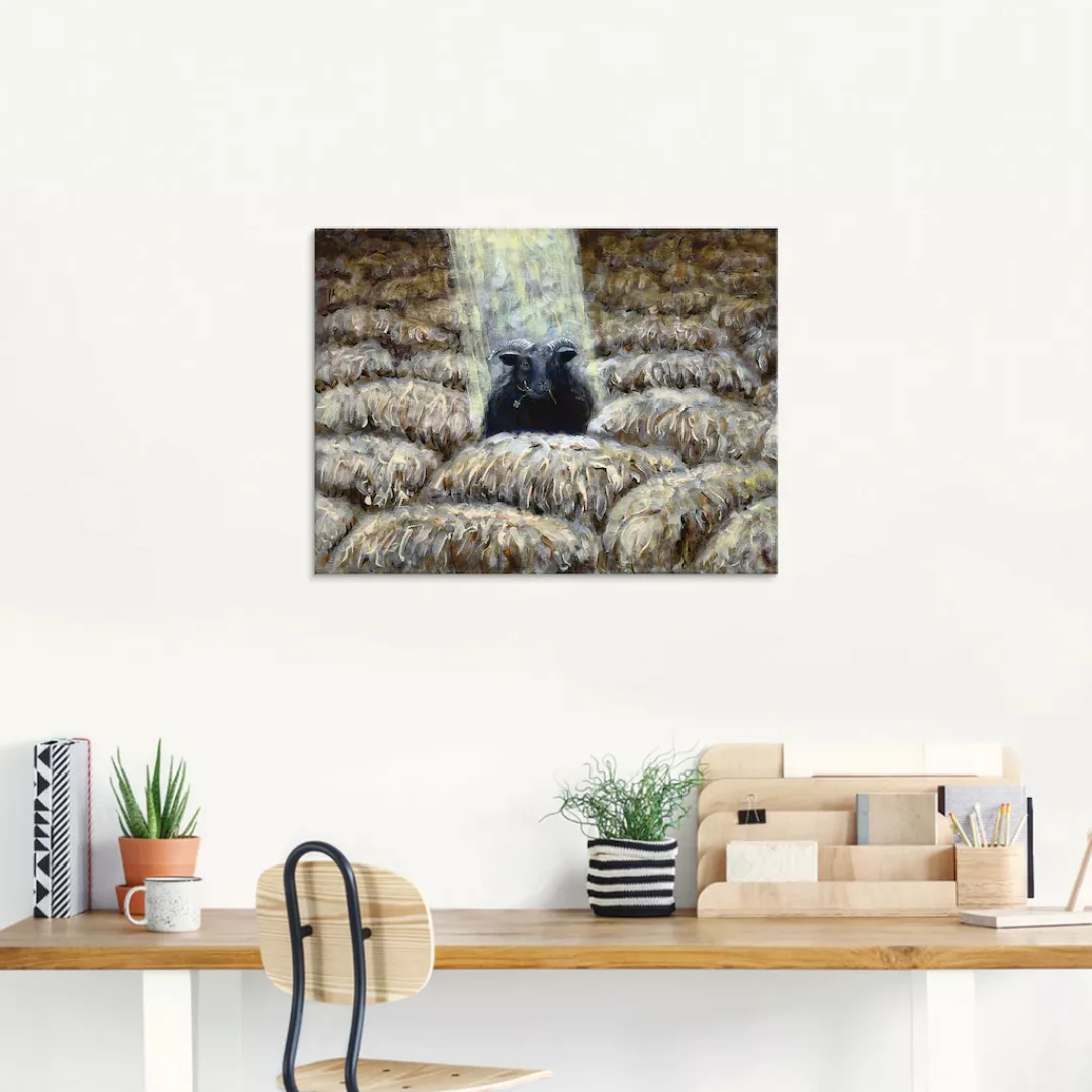 Artland Glasbild »Schwarzes Schaf«, Haustiere, (1 St.), in verschiedenen Gr günstig online kaufen