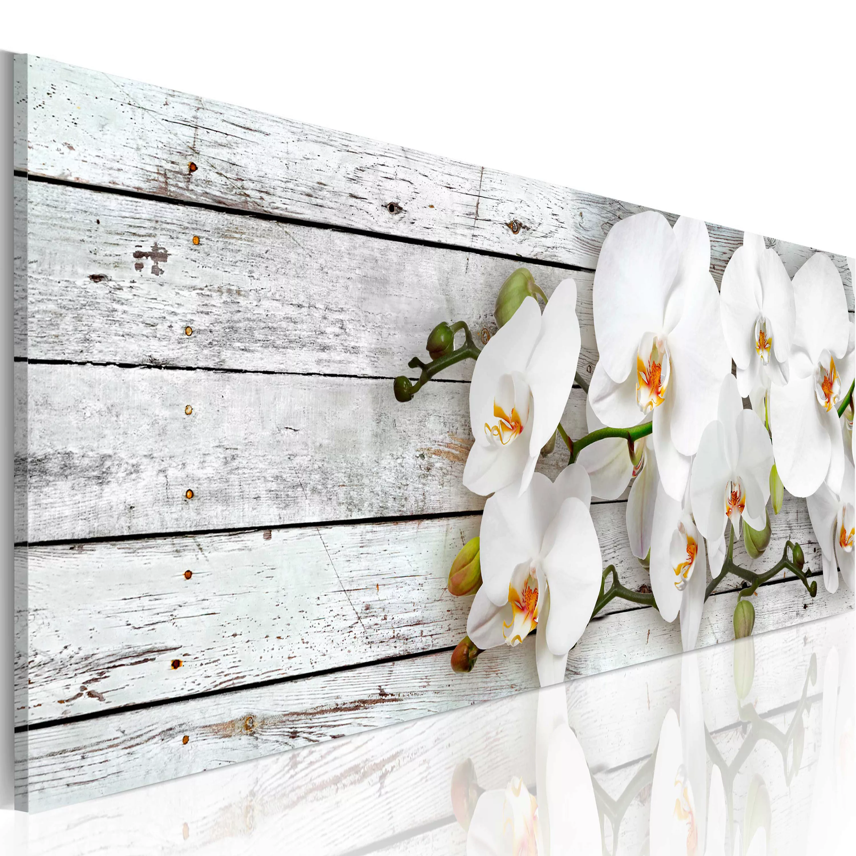 Wandbild - White Dreams günstig online kaufen