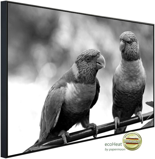Papermoon Infrarotheizung »Vögel Schwarz & Weiß«, sehr angenehme Strahlungs günstig online kaufen