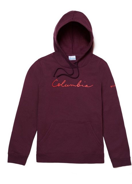 Columbia Hoodie Columbia Trek Graphic Hoodie günstig online kaufen