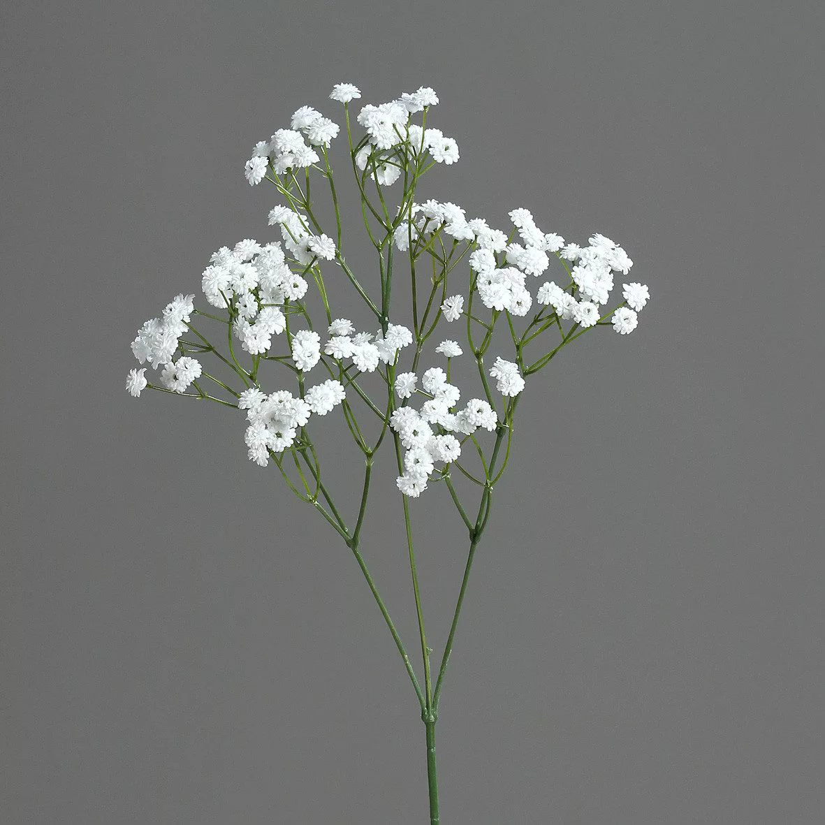 Kunstblume Dekozweig, DPI, Höhe 67 cm günstig online kaufen