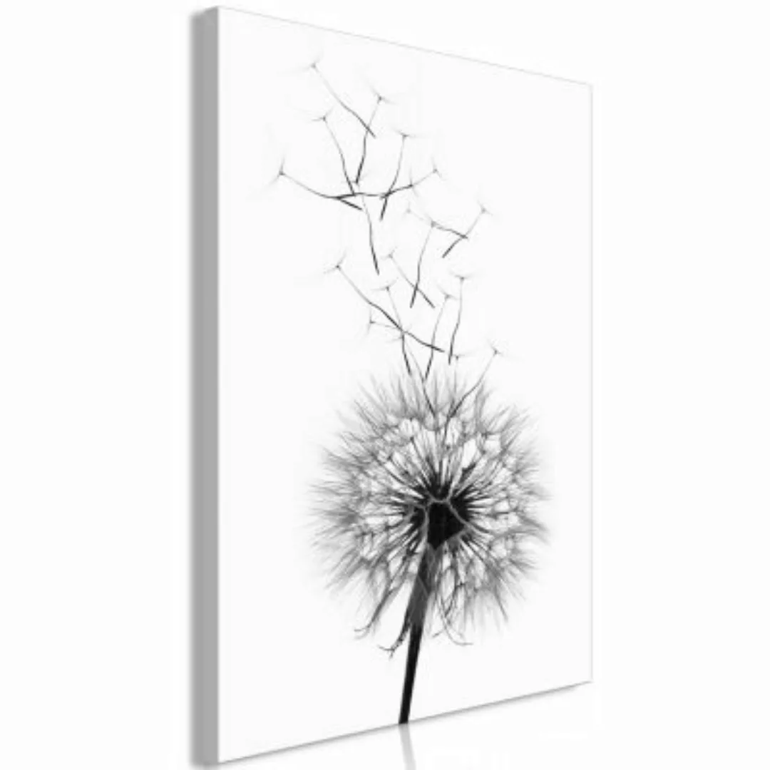 artgeist Wandbild Dandelion (1 Part) Vertical schwarz/weiß Gr. 40 x 60 günstig online kaufen