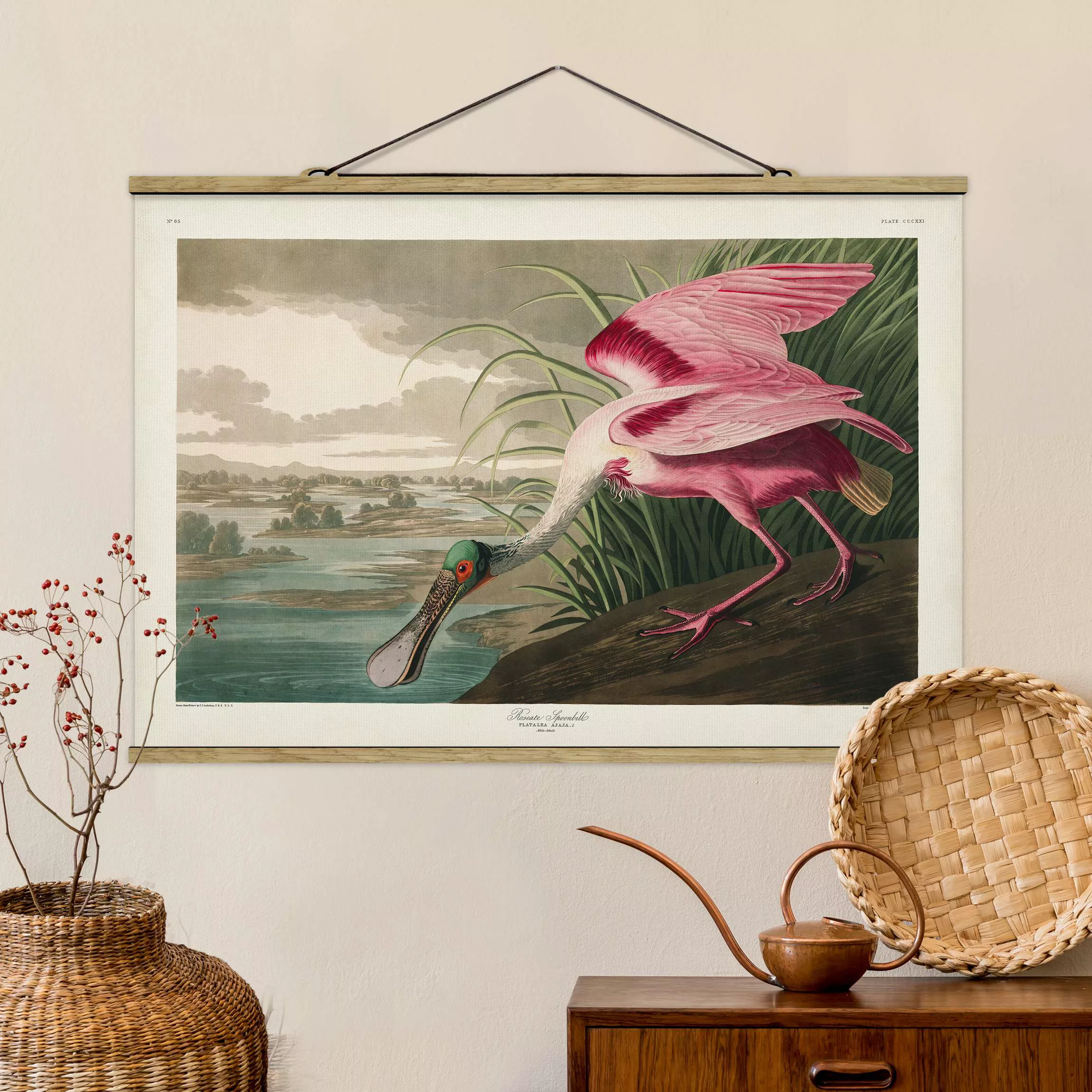 Stoffbild Tiere mit Posterleisten - Querformat Vintage Lehrtafel Rosa Stör günstig online kaufen