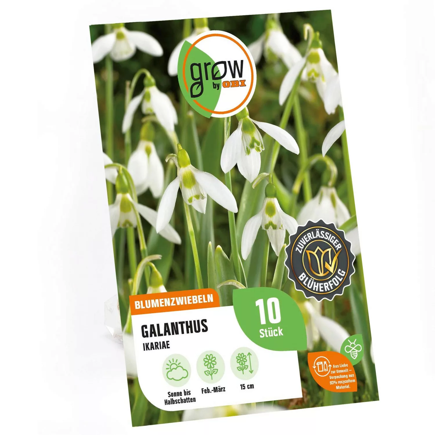 GROW by OBI Ikaria-Schneeglöckchen Weiß 15 cm Galanthus ikariae günstig online kaufen