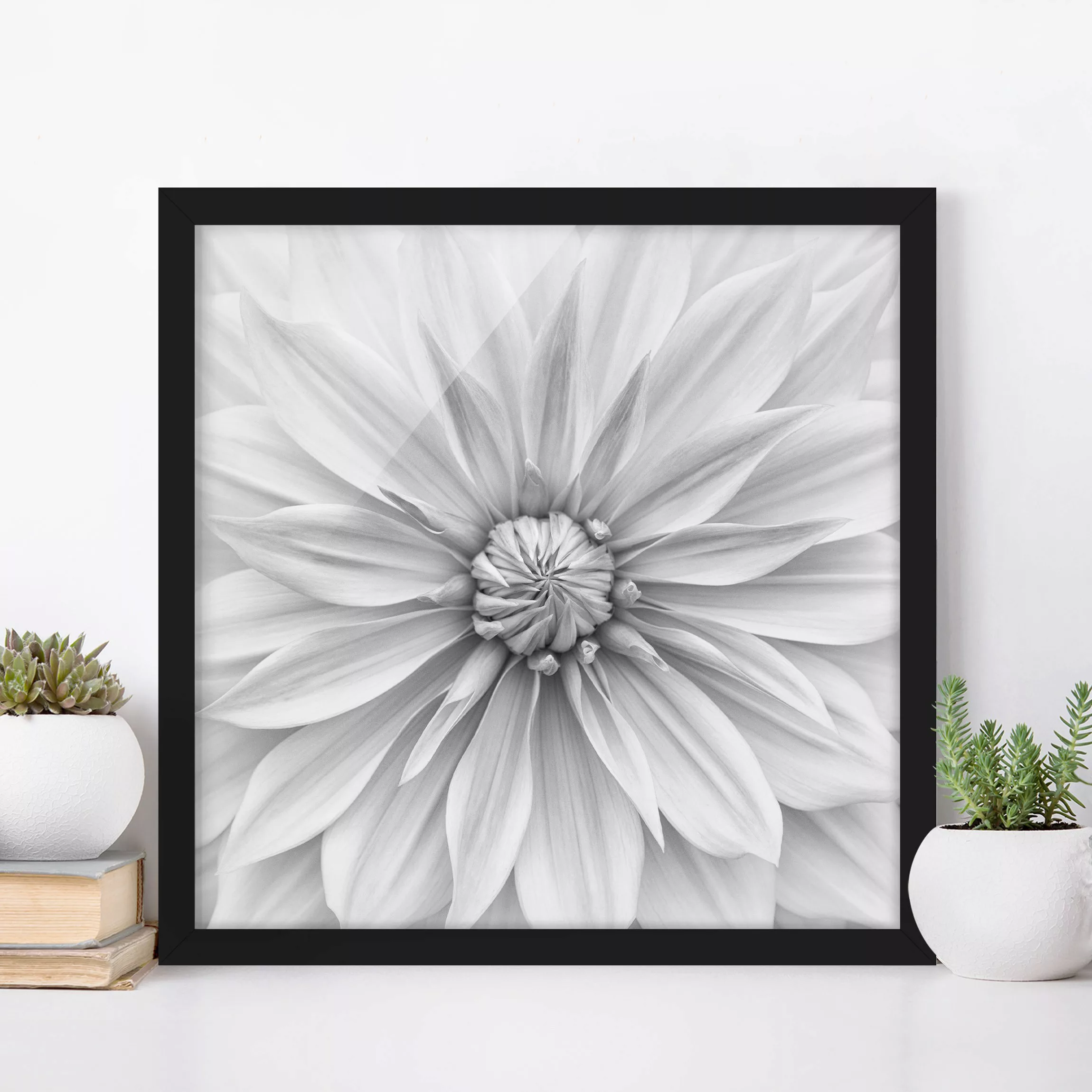 Bild mit Rahmen Botanische Blüte in Weiß günstig online kaufen