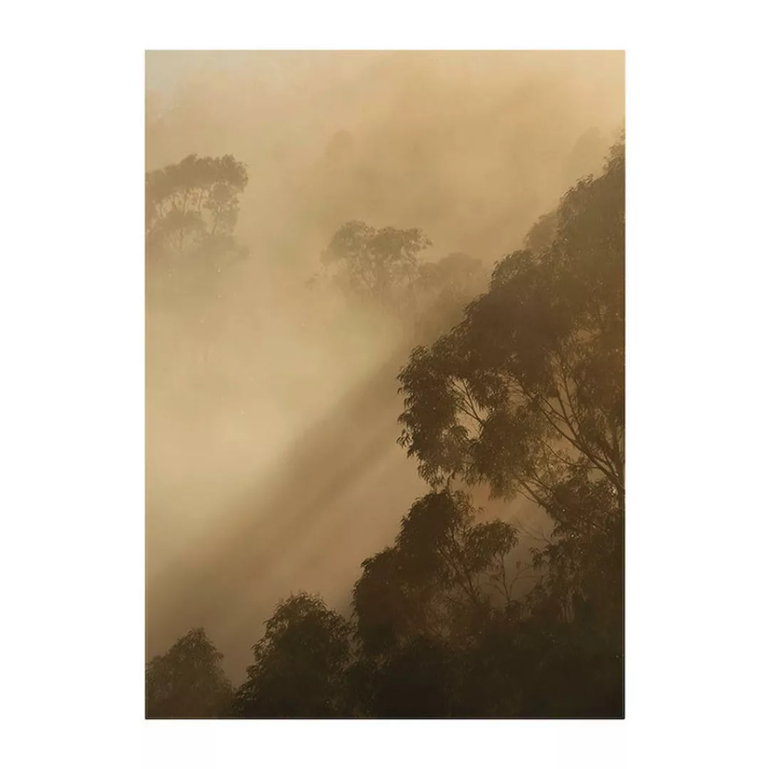 Komar Wandbild Golden Light Wald B/L: ca. 30x40 cm günstig online kaufen