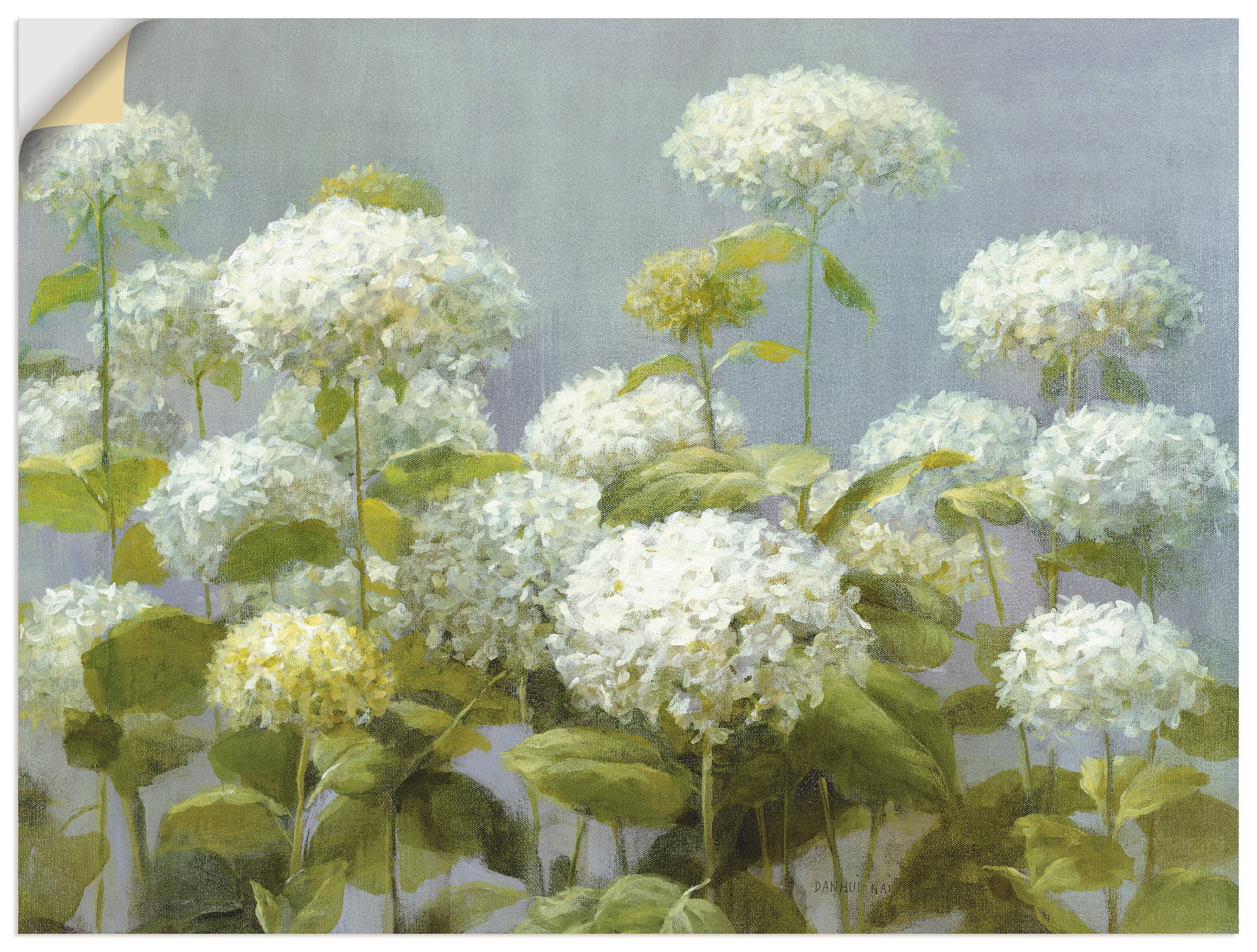 Artland Wandbild "Weißer Hortensien Garten", Blumen, (1 St.), als Leinwandb günstig online kaufen