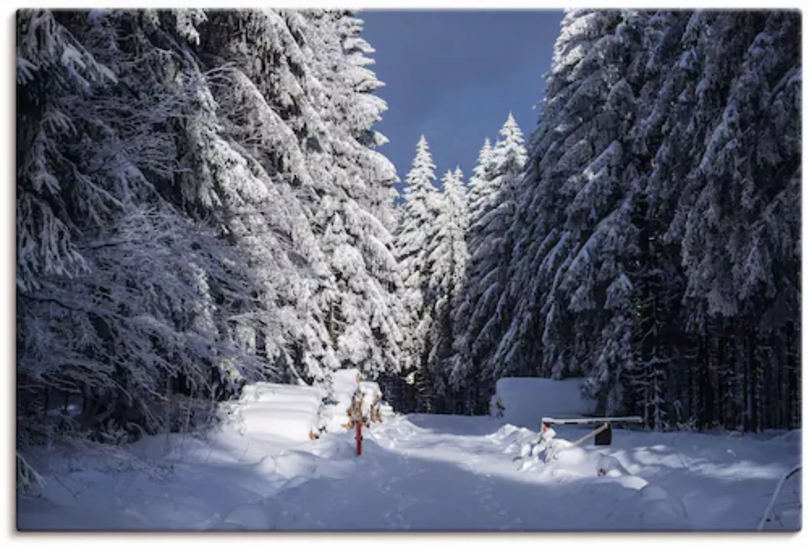 Artland Leinwandbild »Winter im Thüringer Wald II«, Waldbilder, (1 St.), au günstig online kaufen