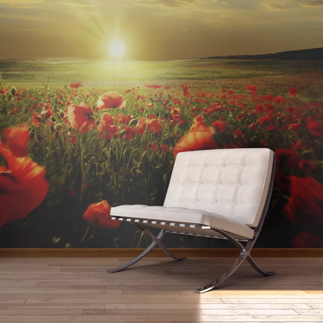 Fototapete - Morning On The Poppy Meadow günstig online kaufen