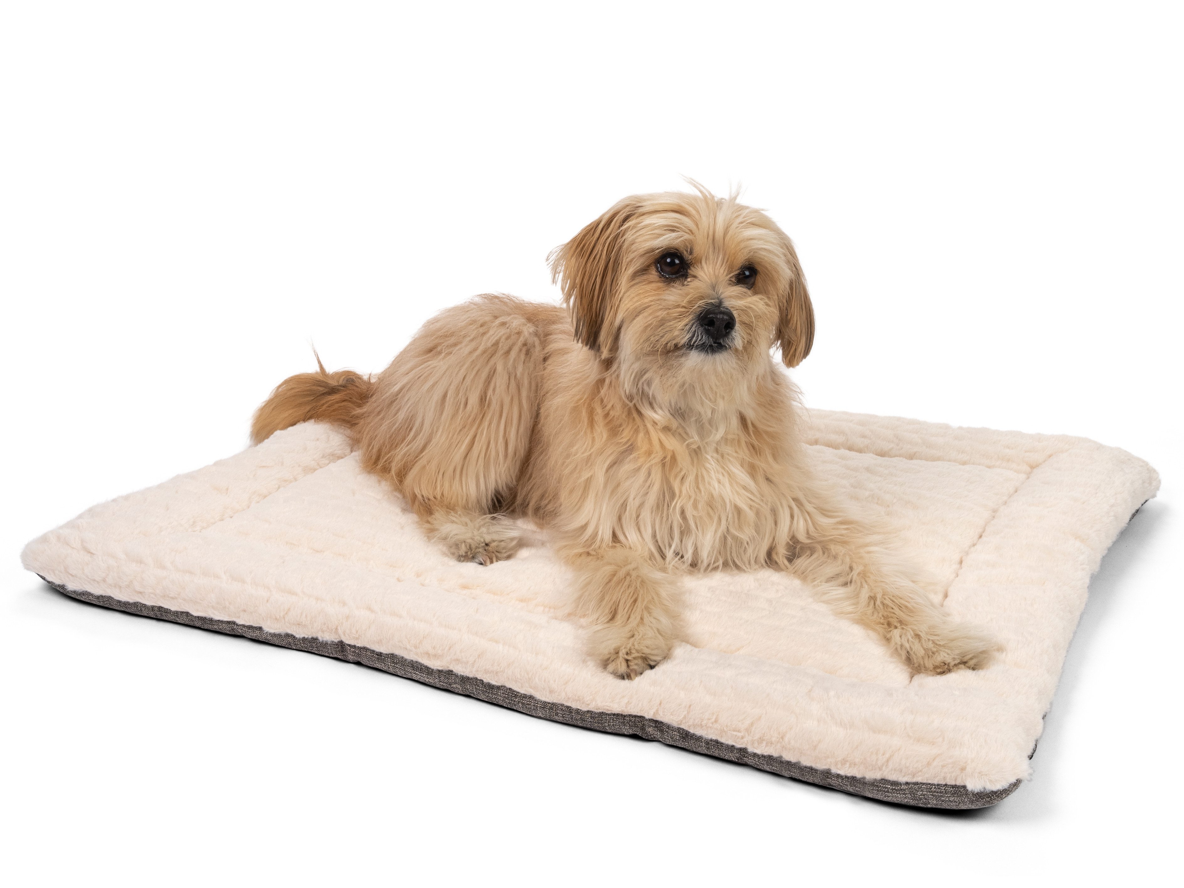 TrendPet Hundematte Hundedecke "Heaven" Beige, 100% günstig online kaufen